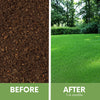 Before and after lawn results using RUFF & TUFF! drought-tolerant fescue seed blend