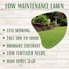 Low-maintenance fescue lawn grown from RUFF & TUFF! grass seed blend