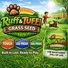 Ruff & Tuff grass seed advertisement with a child and dog playing in a garden.