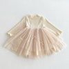 Long Sleeved Tulle Ribbon Dress