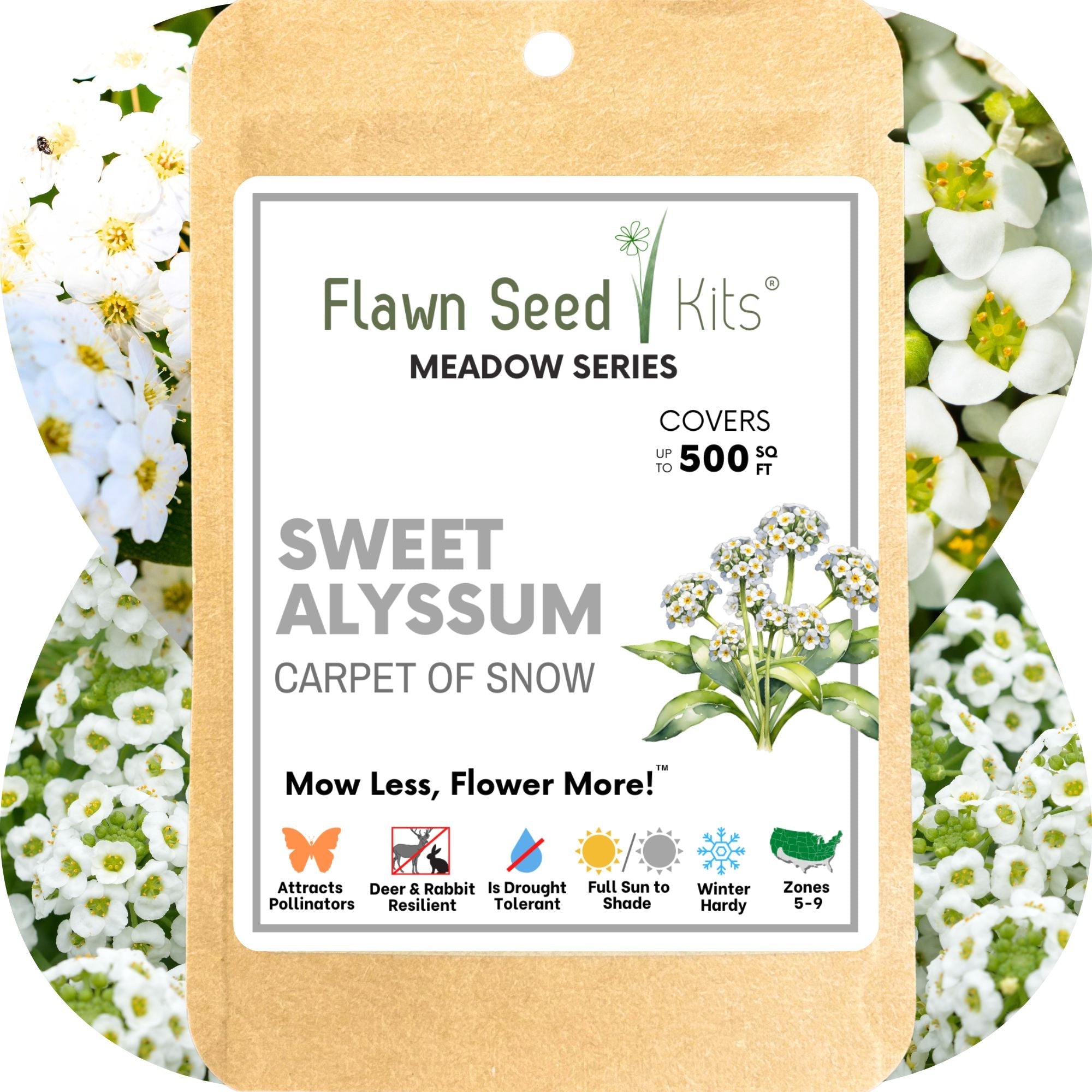 Sweet Alyssum Carpet of Snow Seed Pouch: Fragrant White Blooms for Your Eco-Friendly Lawn