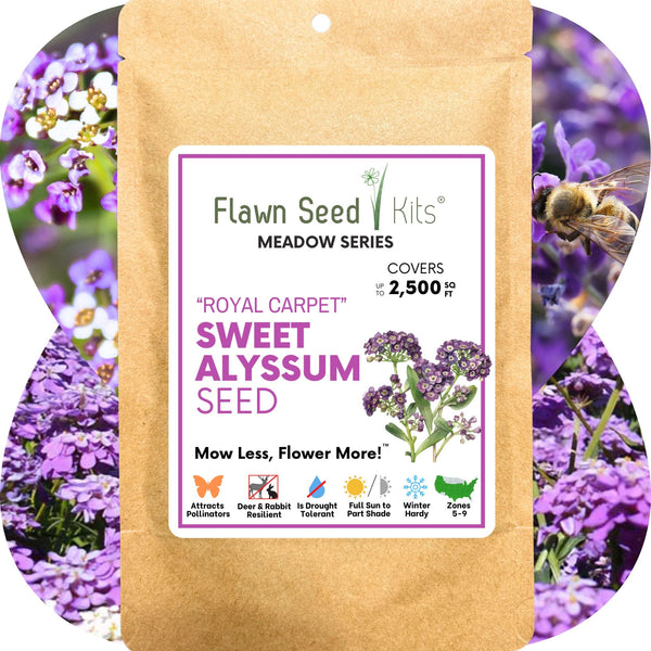 Sweet Alyssum Royal Carpet Seed Pouch: Fragrant Lavender Blooms for Your Eco-Friendly Lawn