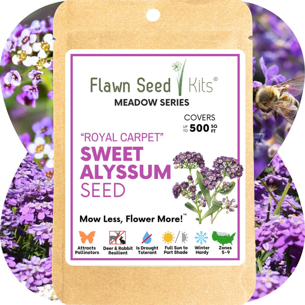 Sweet Alyssum Royal Carpet Seed Pouch: Fragrant Lavender Blooms for Your Eco-Friendly Lawn