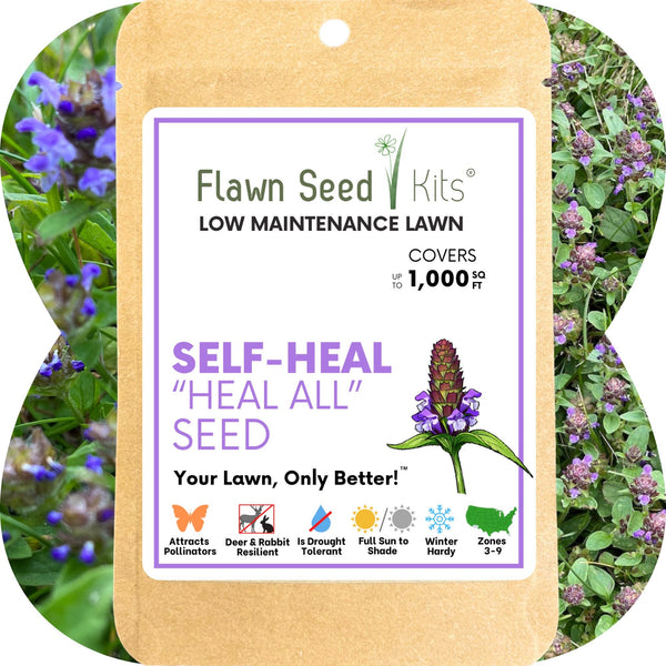 Self-Heal Seed Pouch: Your Easy Path to a Pollinator-Friendly, Low-Maintenance Lawn