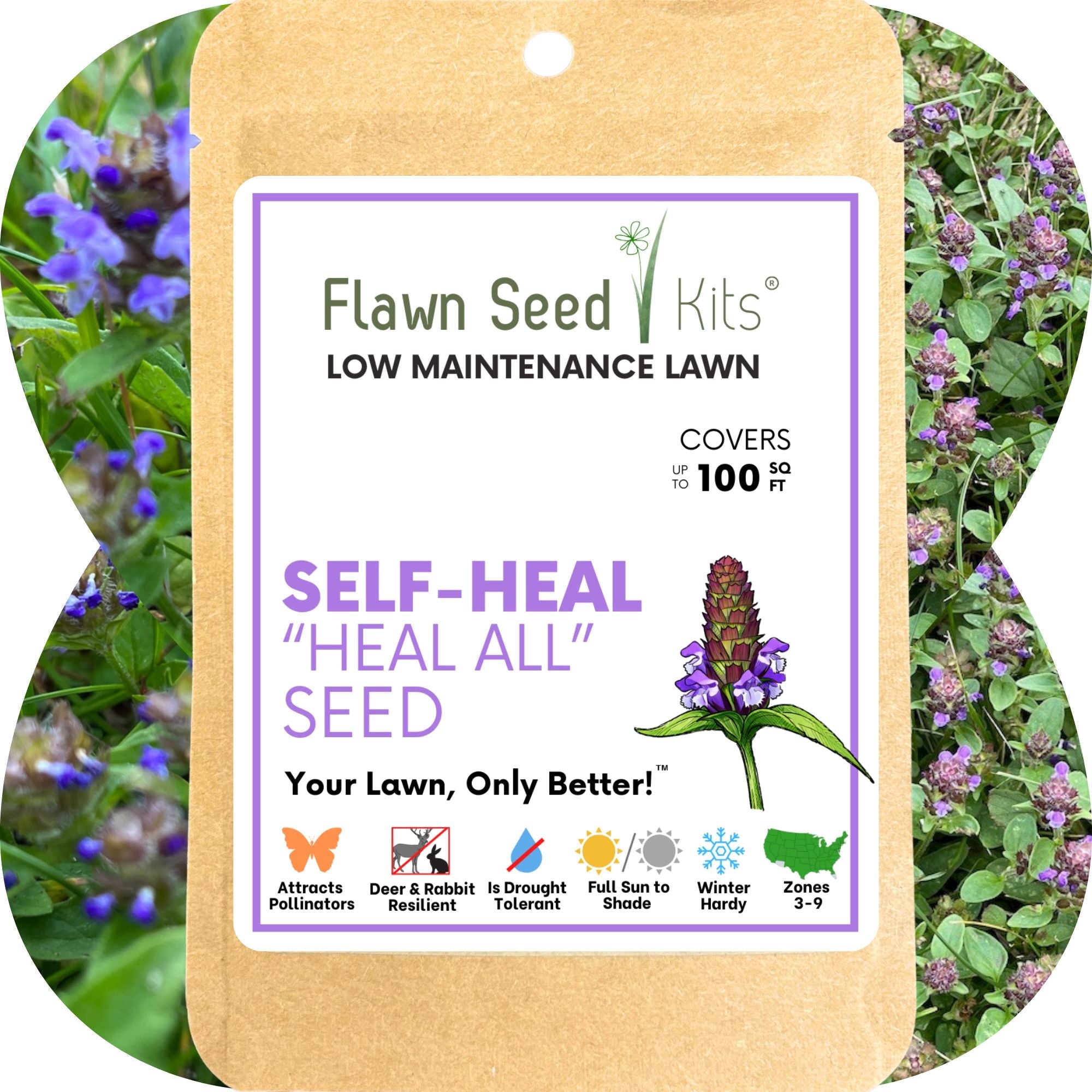 Self-Heal Seed Pouch: Your Easy Path to a Pollinator-Friendly, Low-Maintenance Lawn