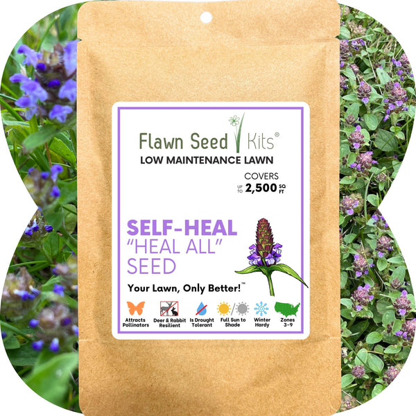 Self-Heal Seed Pouch: Your Easy Path to a Pollinator-Friendly, Low-Maintenance Lawn