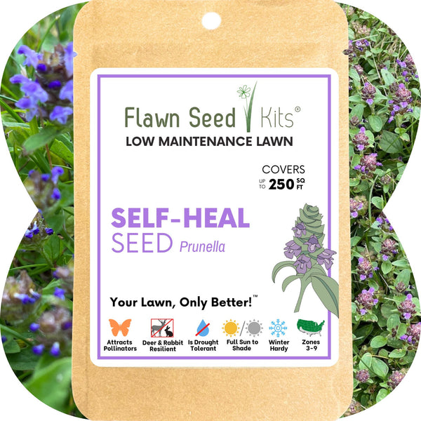 Self-Heal Seed Pouch: Your Easy Path to a Pollinator-Friendly, Low-Maintenance Lawn