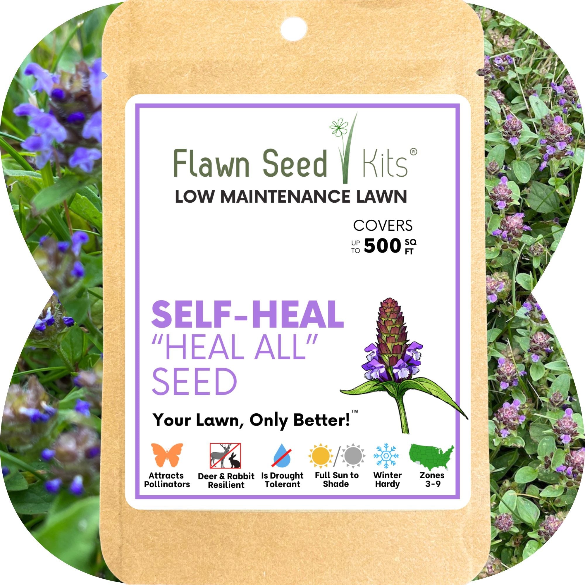 Self-Heal Seed Pouch: Your Easy Path to a Pollinator-Friendly, Low-Maintenance Lawn