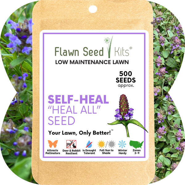 Self-Heal Seed Pouch: Your Easy Path to a Pollinator-Friendly, Low-Maintenance Lawn