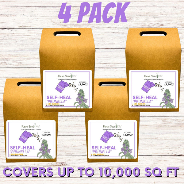 Self-Heal "Heal-All" Eco-Friendly Seeding Kit (Limited Time)