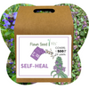 Flawn Seed Kits self-heal seed packet with a brown cardboard box on a green background.