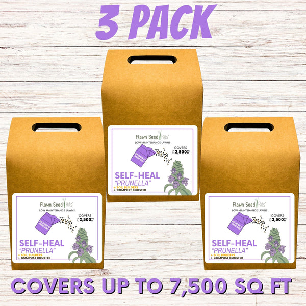 Self-Heal "Heal-All" Eco-Friendly Seeding Kit (Limited Time)
