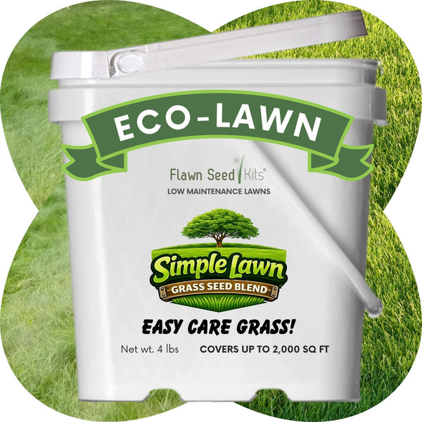 Economy Mow Less Grass Seed