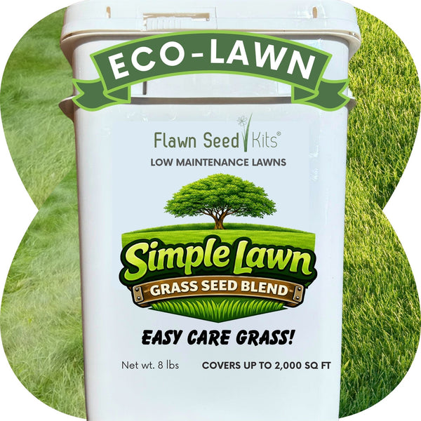 Economy Mow Less Grass Seed