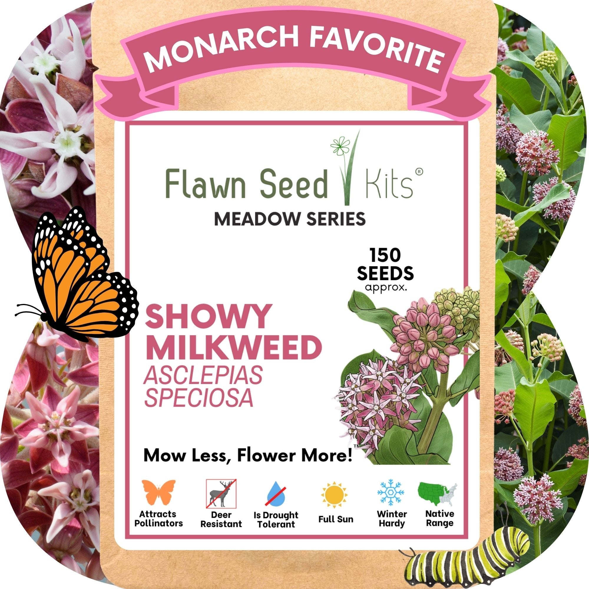 Flawn Seed Kits Showy Milkweed seed packet with butterfly and plant illustration. Non-GMO Showy Milkweed seeds in compostable packaging — host plant for monarchs & queen butterflies, attracts hummingbirds. Drought-tolerant, zones 3–9. Shop now.