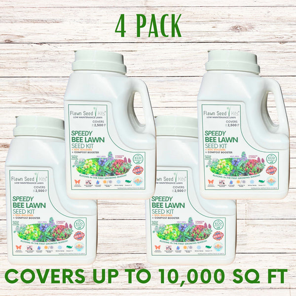 Speedy Bee Lawn Seed Kit: Quick Blooms for a Pollinator Paradise!