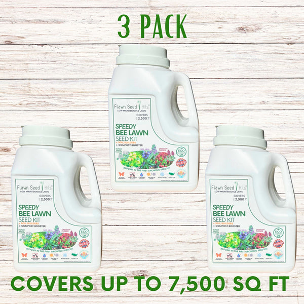 Speedy Bee Lawn Seed Kit: Quick Blooms for a Pollinator Paradise!