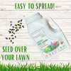 Speedy Bee Lawn Seed Kit: Quick Blooms for a Pollinator Paradise!