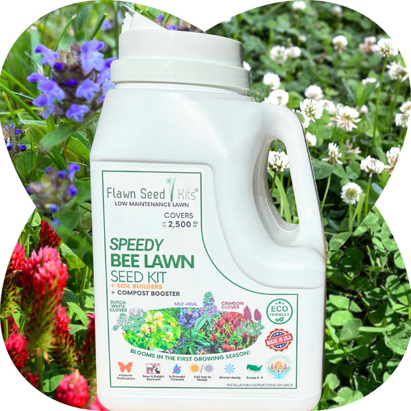 Speedy Bee Lawn Seed Kit: Quick Blooms for a Pollinator Paradise!