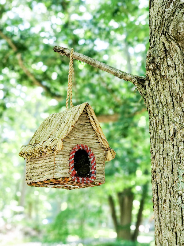 Woven birdhouse hanging from a tree branch with a blurred green forest background
