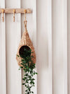 Woven plant hanger with green plant against a white wall
