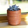 Succulent Basket Planter