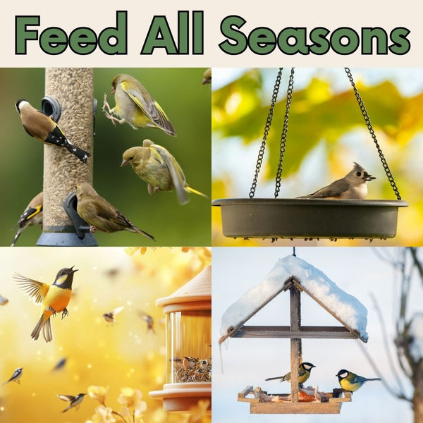 Backyard Birder's Wild Bird Seed Blend