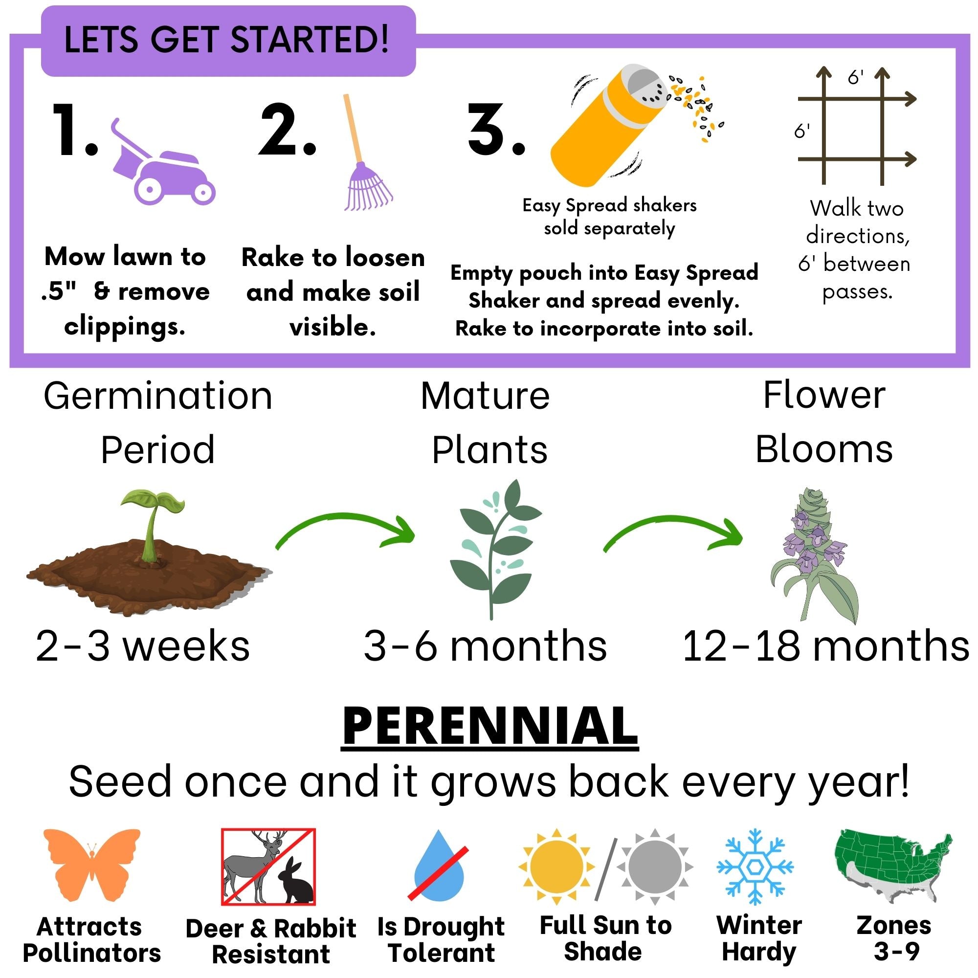 Self-Heal Seed Pouch: Your Easy Path to a Pollinator-Friendly, Low-Maintenance Lawn
