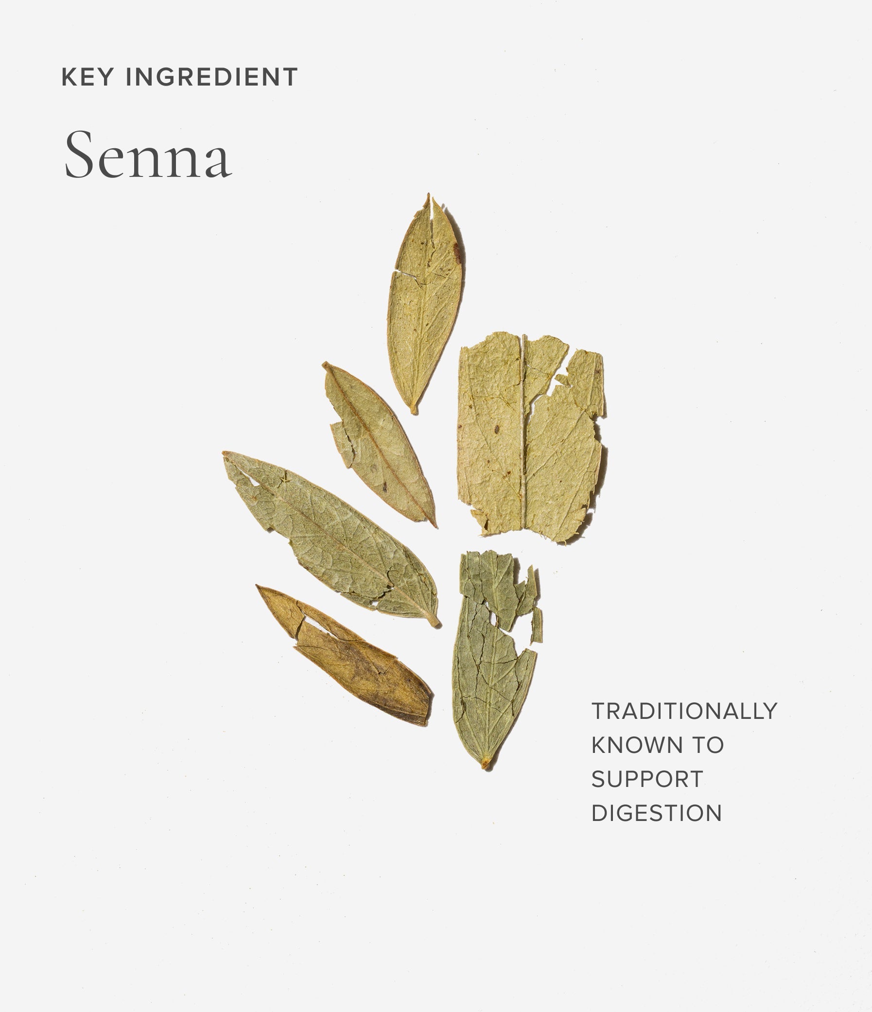 Senna leaves on a light gray background with text about its traditional uses.