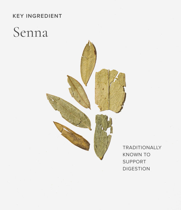 Senna leaves on a light gray background with text about its traditional uses.