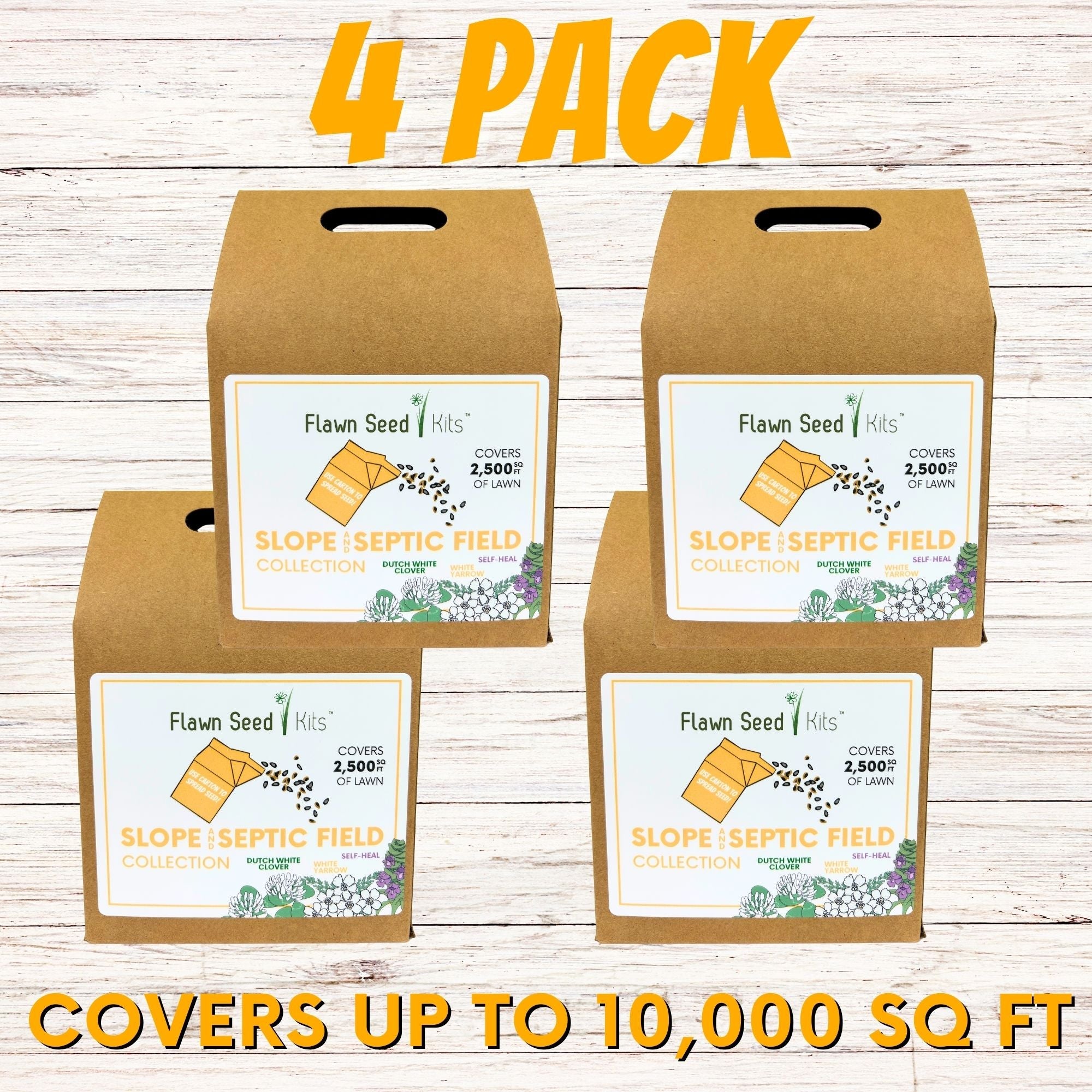 Slope and Septic System Seed Kit