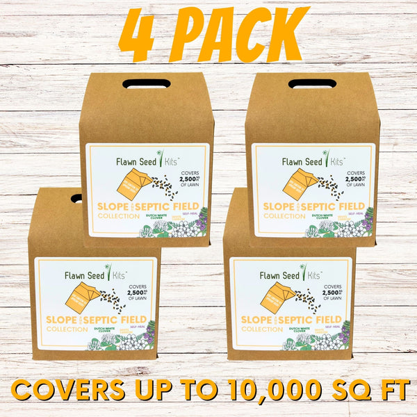 Slope and Septic System Seed Kit