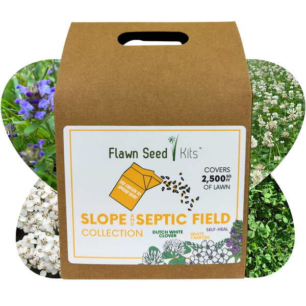 Flawn Seed Kits packaging with a label on a white background