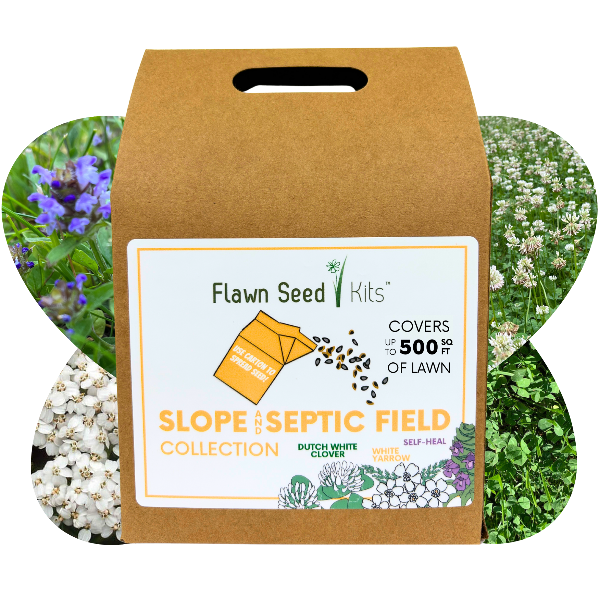 Flawn Seed Kits packaging with a label on a white background