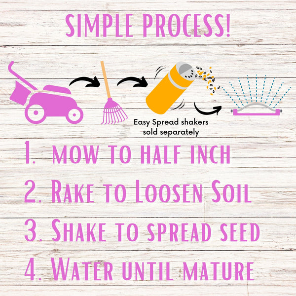 Medium Red Clover Seed: Vibrant Pink Blooms for Your Eco-Friendly, Pollinator-Friendly Lawn