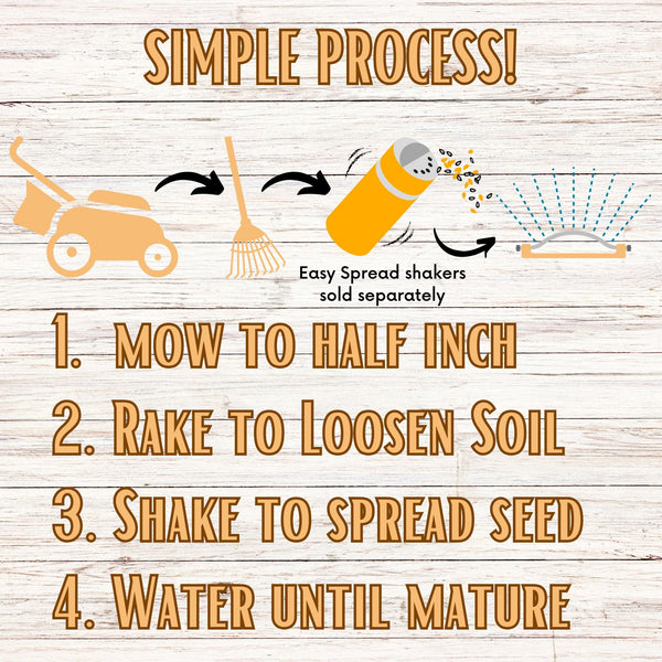 White Yarrow Seed Pouch: Create a Beautiful, Pollinator-Rich, Low-Mow Lawn