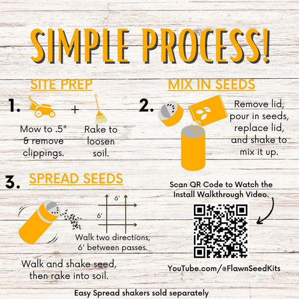 Self-Heal Seed Pouch: Your Easy Path to a Pollinator-Friendly, Low-Maintenance Lawn