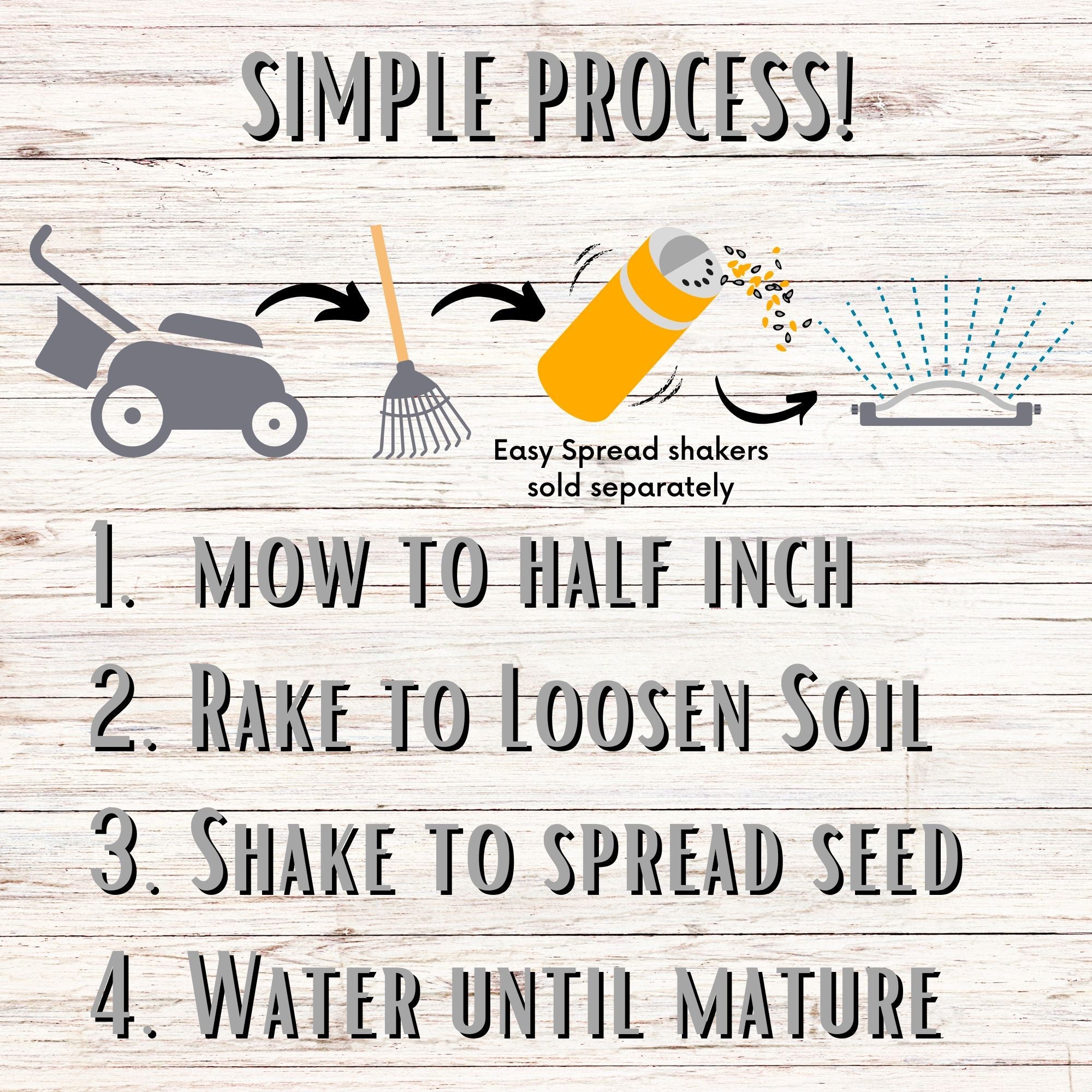 Sweet Alyssum Carpet of Snow Seed Pouch: Fragrant White Blooms for Your Eco-Friendly Lawn