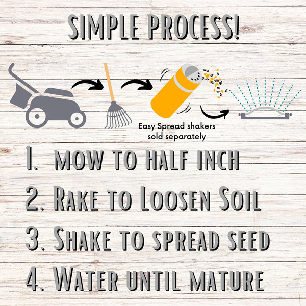 Sweet Alyssum Carpet of Snow Seed Pouch: Fragrant White Blooms for Your Eco-Friendly Lawn