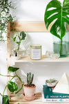 Skin Save Salve by Butter Me Up Organics with certified organic herbal ingredients
