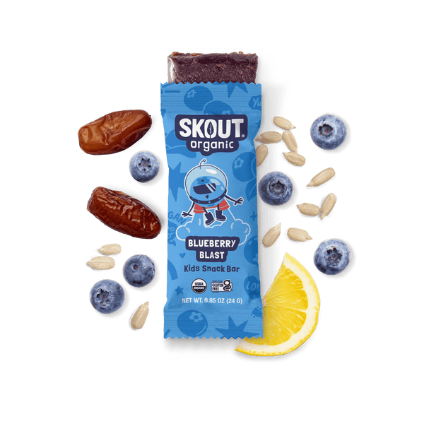 Skout Organic Blueberry Blast Kids Bar | 5-Ingredient Snack