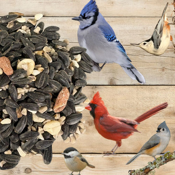 Birdseed mix with illustrated birds on a wooden background