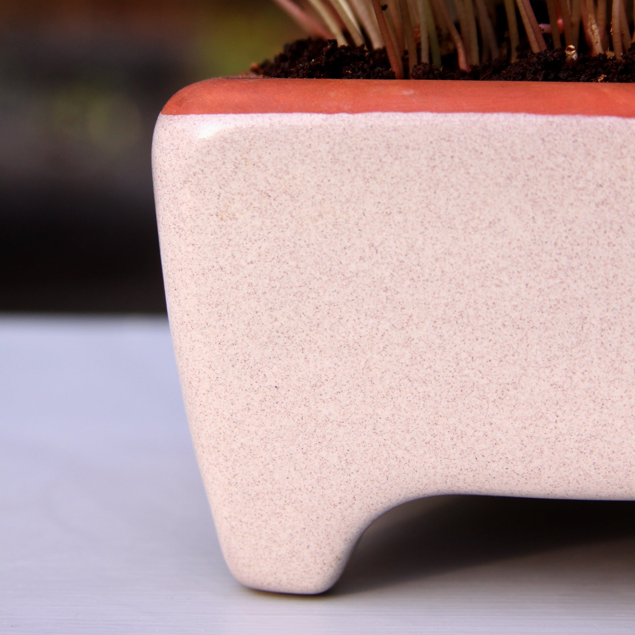 Close-up of a textured ceramic planter with a wooden top on a light background