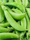 Close-up of ripe Sugar Snap Peas on the vine, showcasing their bright green colour and crisp texture