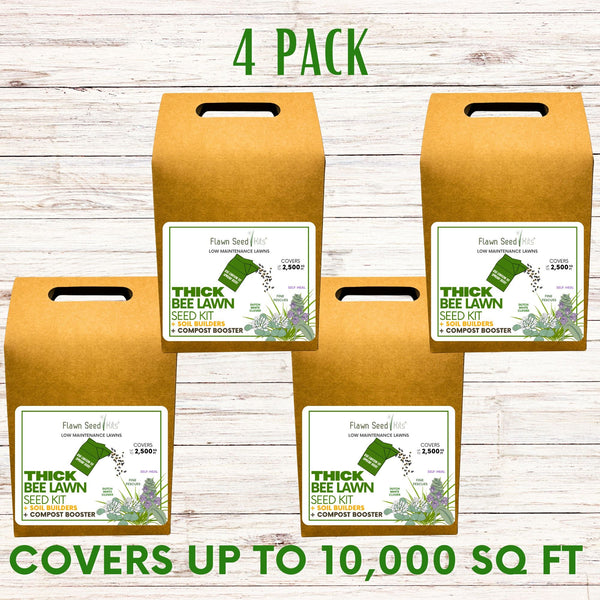 🌼 Thick Bee Lawn Seed Kit – Eco-Friendly Flowering Lawn in a Carton