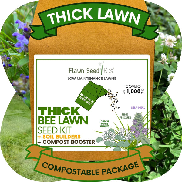 🌼 Thick Bee Lawn Seed Kit – Eco-Friendly Flowering Lawn in a Carton