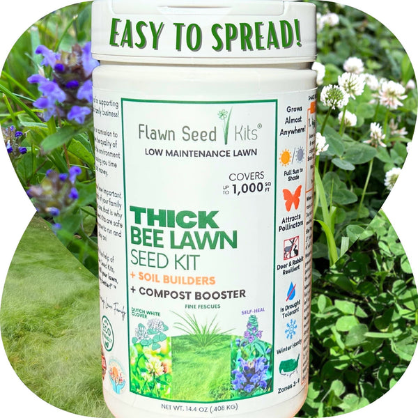 Thick Bee Lawn Seed Kit: Grow a Lush, Pollinator-Friendly Lawn