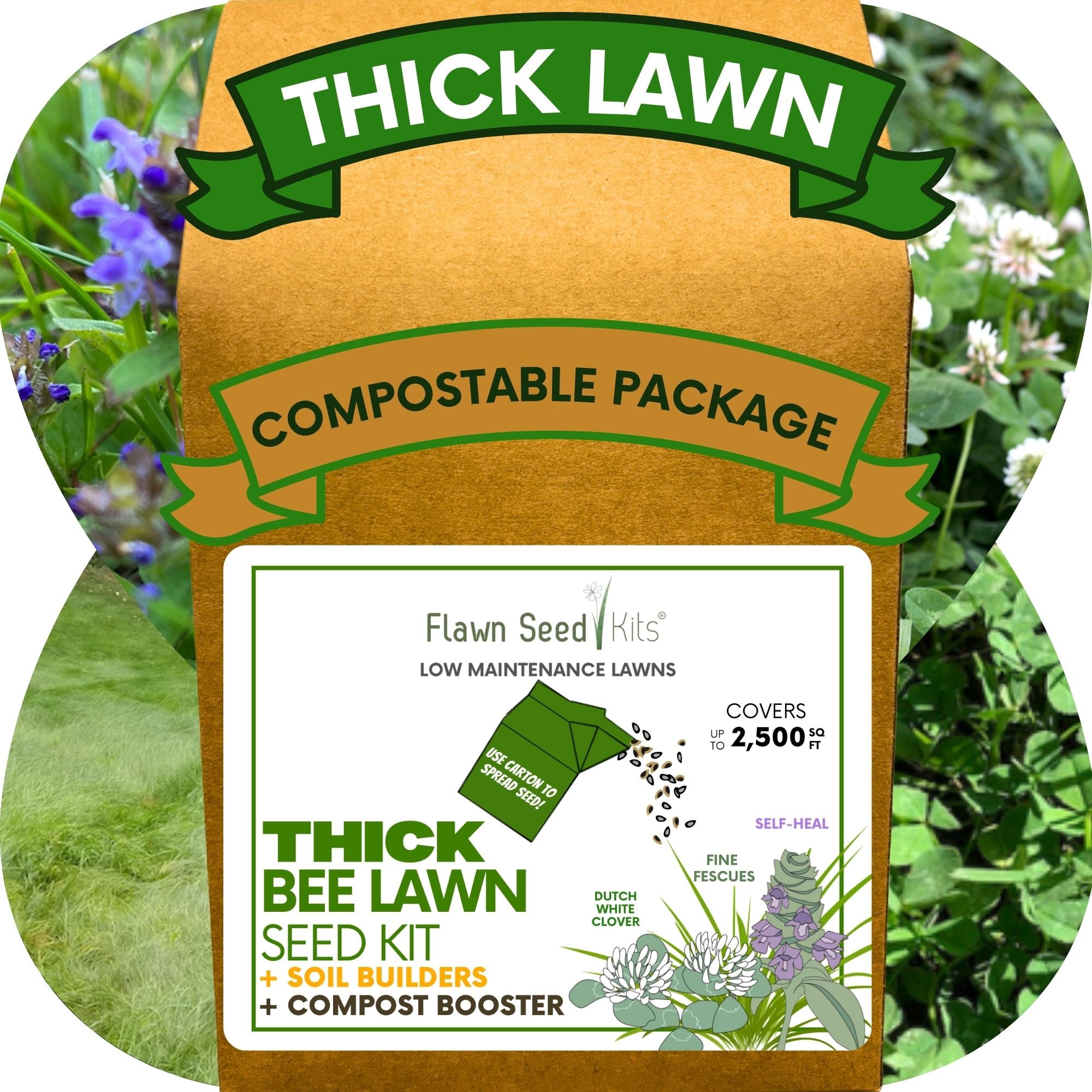 🌼 Thick Bee Lawn Seed Kit – Eco-Friendly Flowering Lawn in a Carton