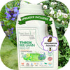 Thick Bee Lawn Seed Kit: Grow a Lush, Pollinator-Friendly Lawn