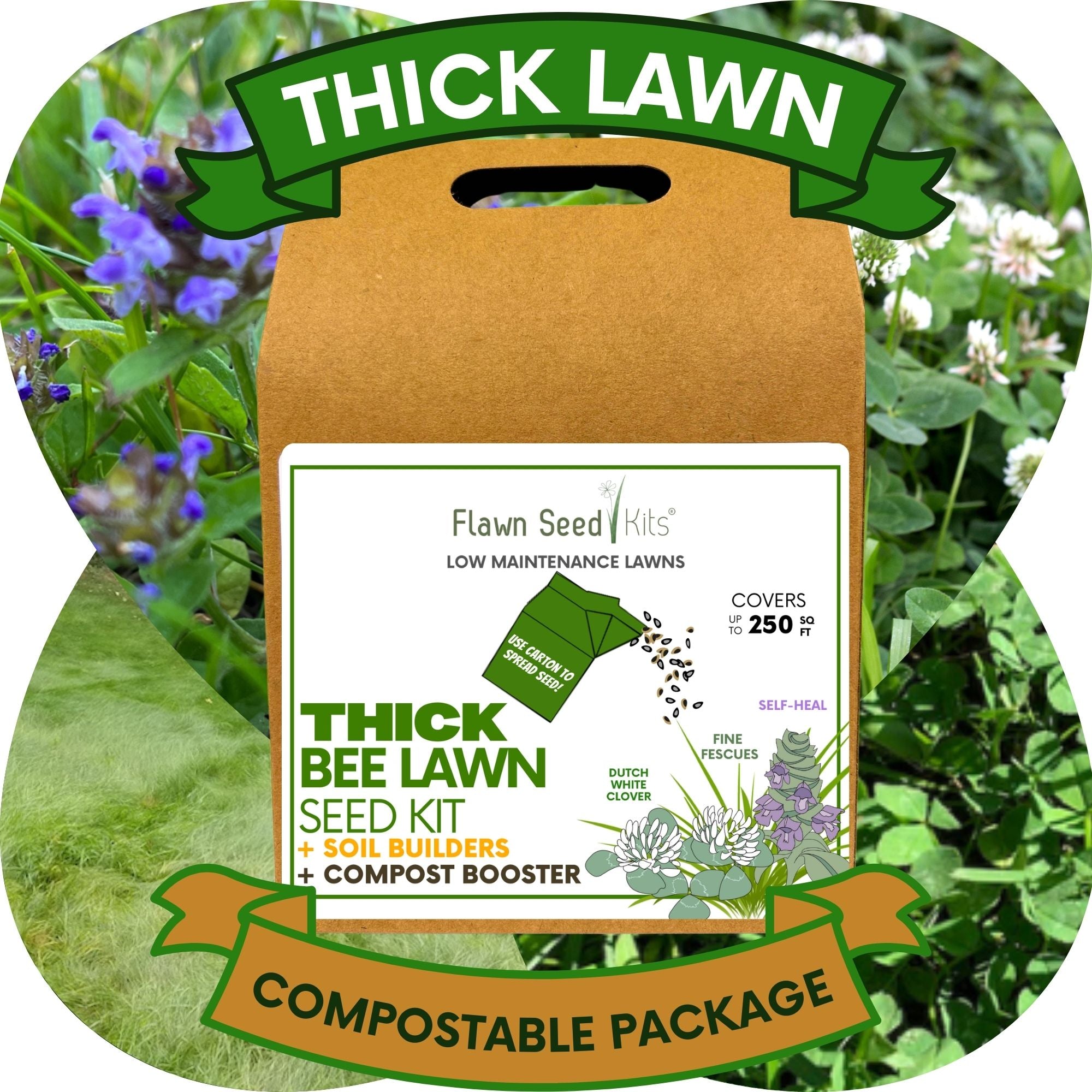 🌼 Thick Bee Lawn Seed Kit – Eco-Friendly Flowering Lawn in a Carton